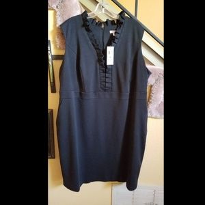 Elegant LBD Ruffled collar